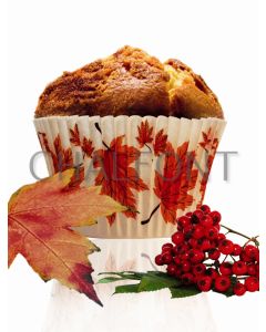Leaves Design