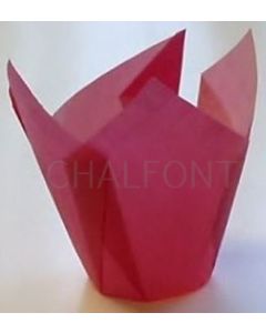Tulip cases - Single Colour