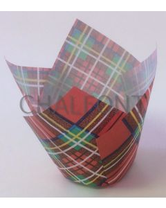 Tulip cases -Tartan Design