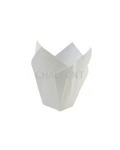 Tulip  cases - White Greaseproof